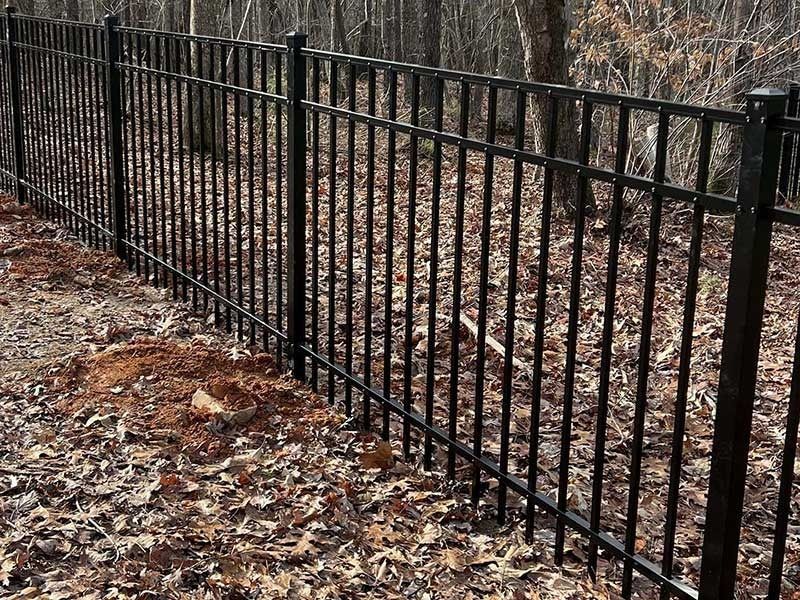Black metal fence in a wooded area with leaves on the ground.