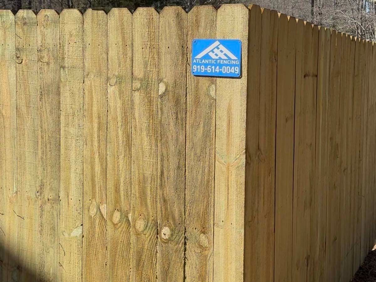 A backyard with a white fence and palm trees.