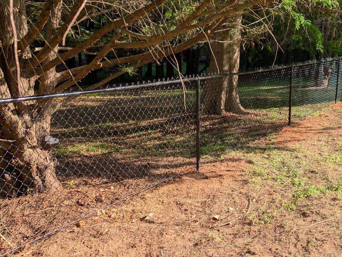 Black chain-link fence with barbed wire topper around trees, on a brown, grassy area.