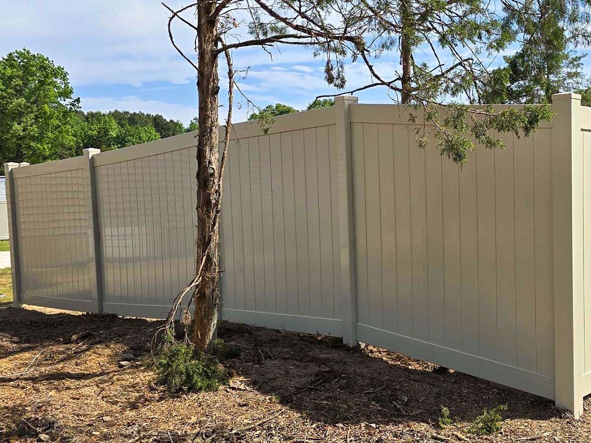 Beige vinyl privacy fence in a yard, partially obstructed by a slender tree; blue sky background.