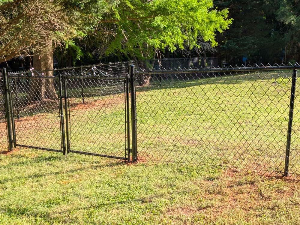 Black chain-link fence with two gates in a grassy yard, trees in the background.
