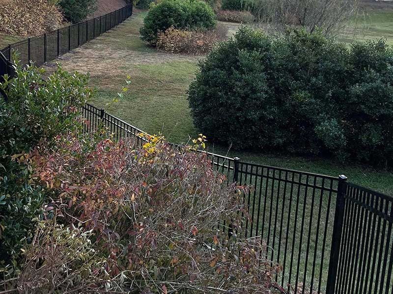 Black metal fence enclosing a grassy yard with bushes and trees; fall foliage.