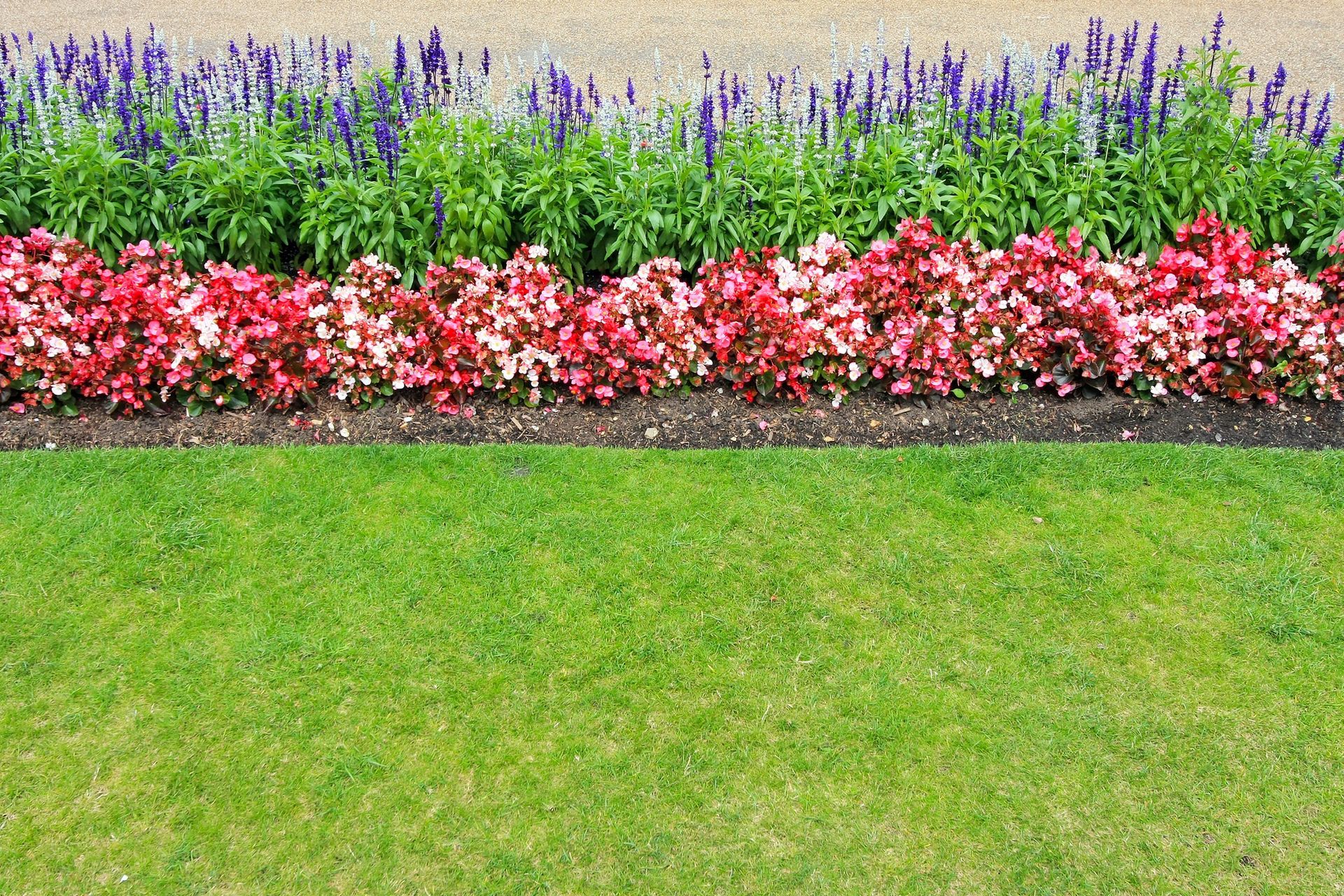 Lush flower bed with red and purple blooms, green foliage, and vibrant green lawn.