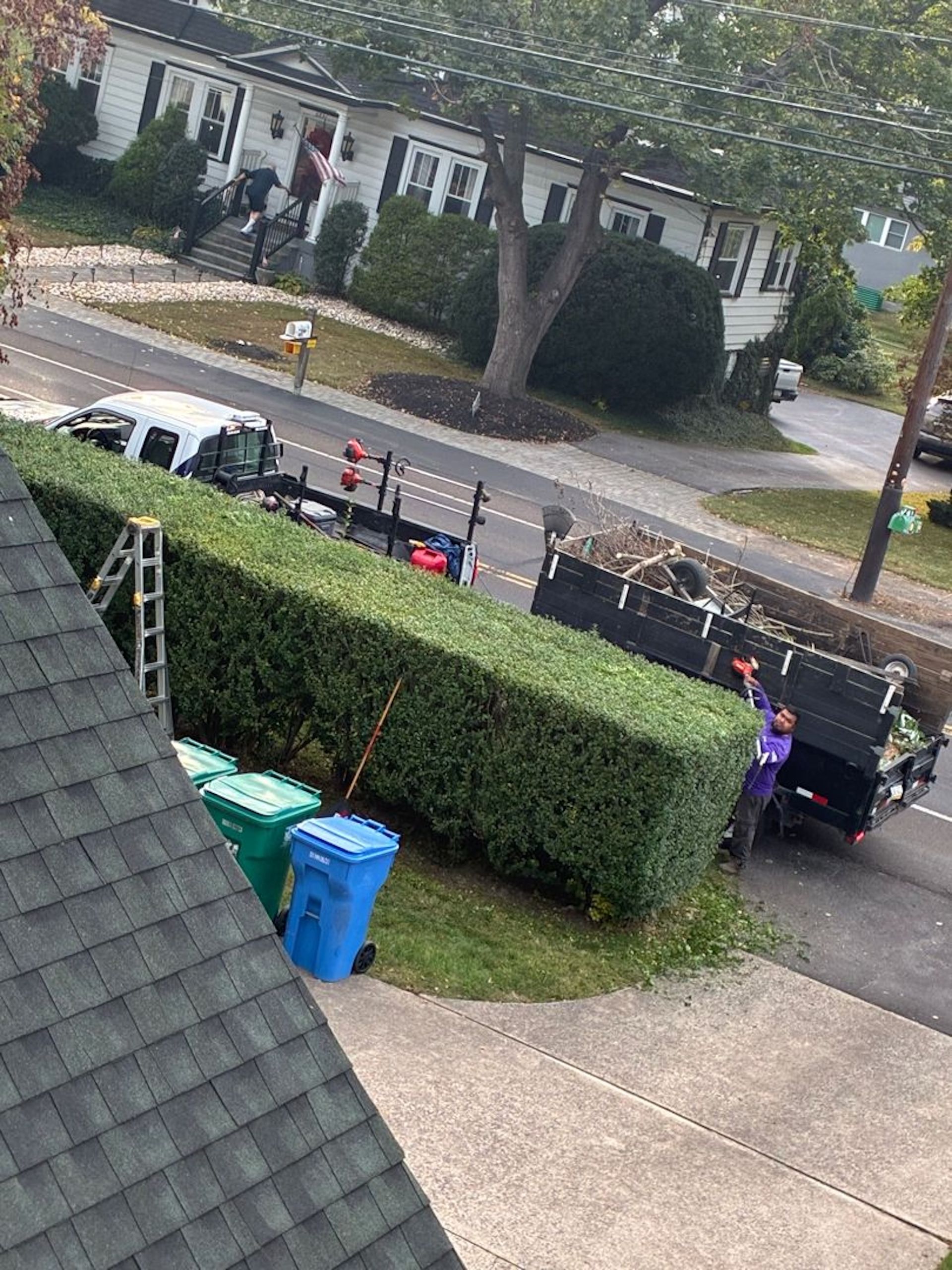 Workers loading trimmed hedge clippings into a truck on a residential street.