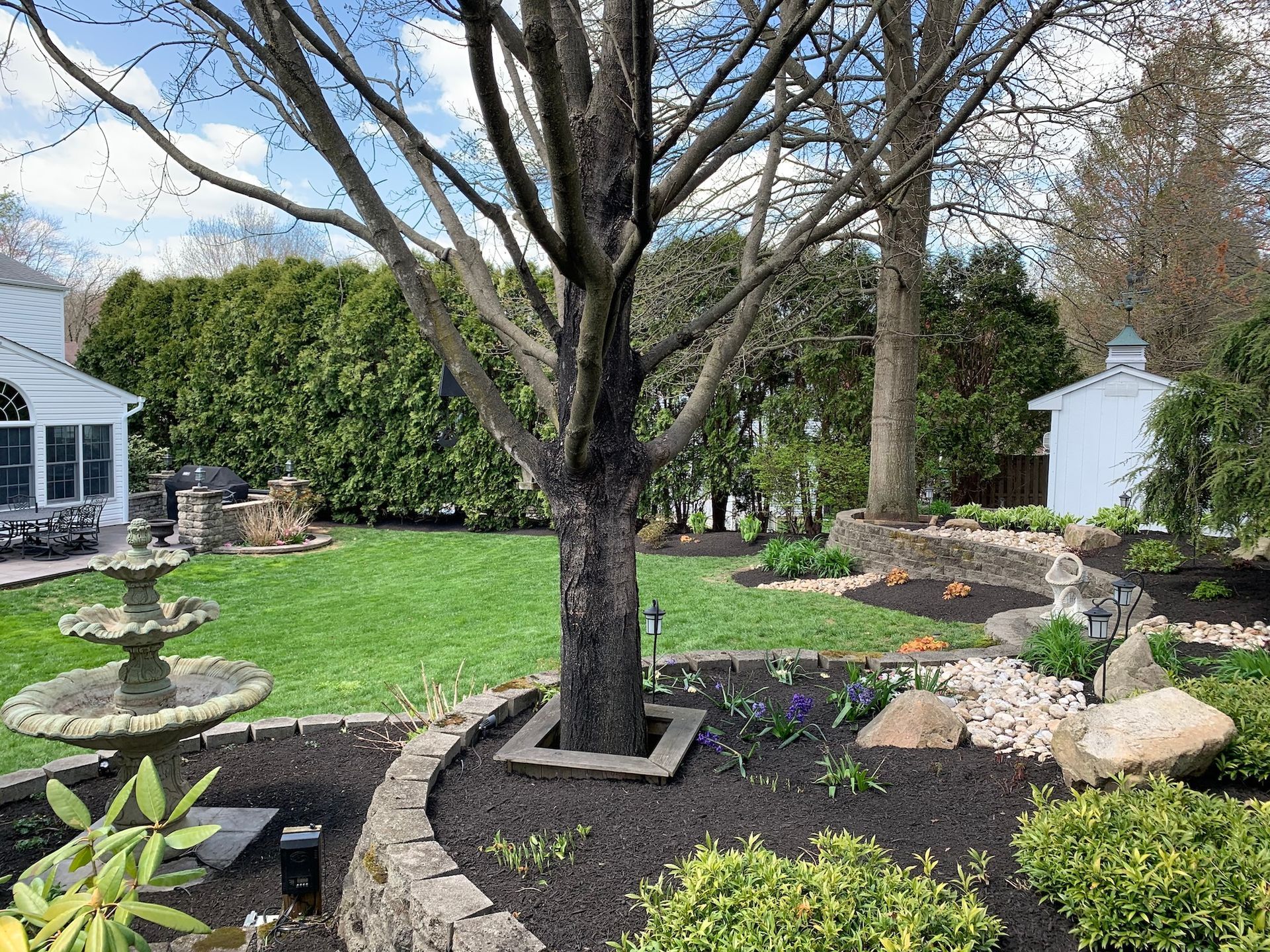 Backyard with a fountain, tree, green lawn, and garden beds with rocks and flowers. White shed in the background.