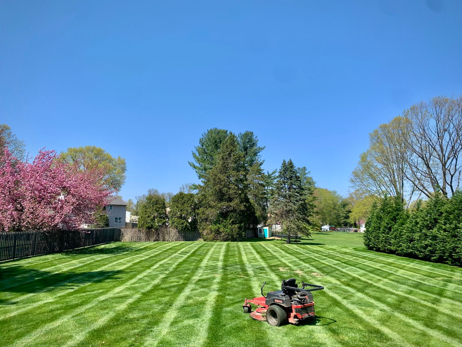 Lawnmower cutting stripes in a green lawn on a sunny day with trees and houses in the background.