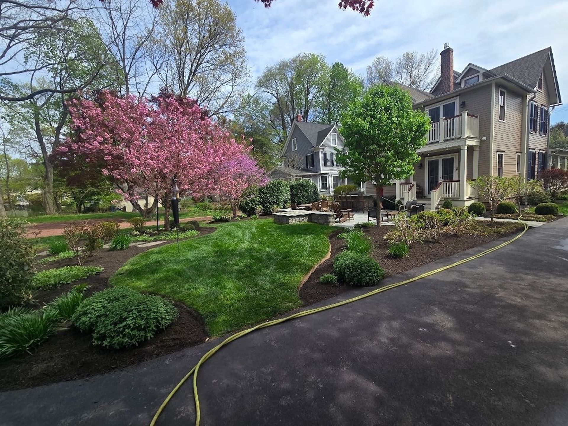 Lush garden with a pink flowering tree and a large house. Green lawn and black asphalt drive. Sunny day.