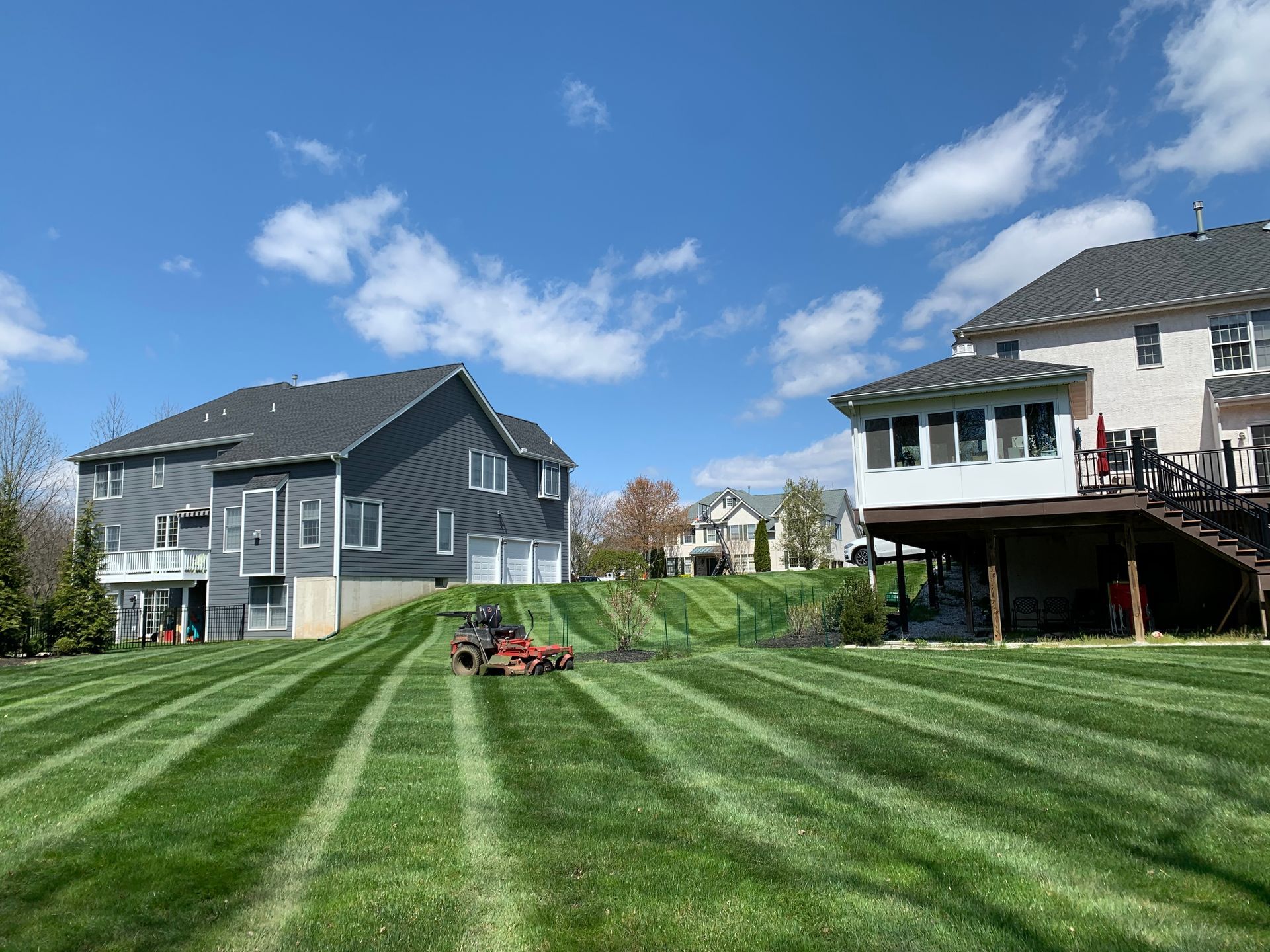 Lawn mower cutting grass in a residential backyard on a sunny day. Striped green lawn, blue sky, two houses.