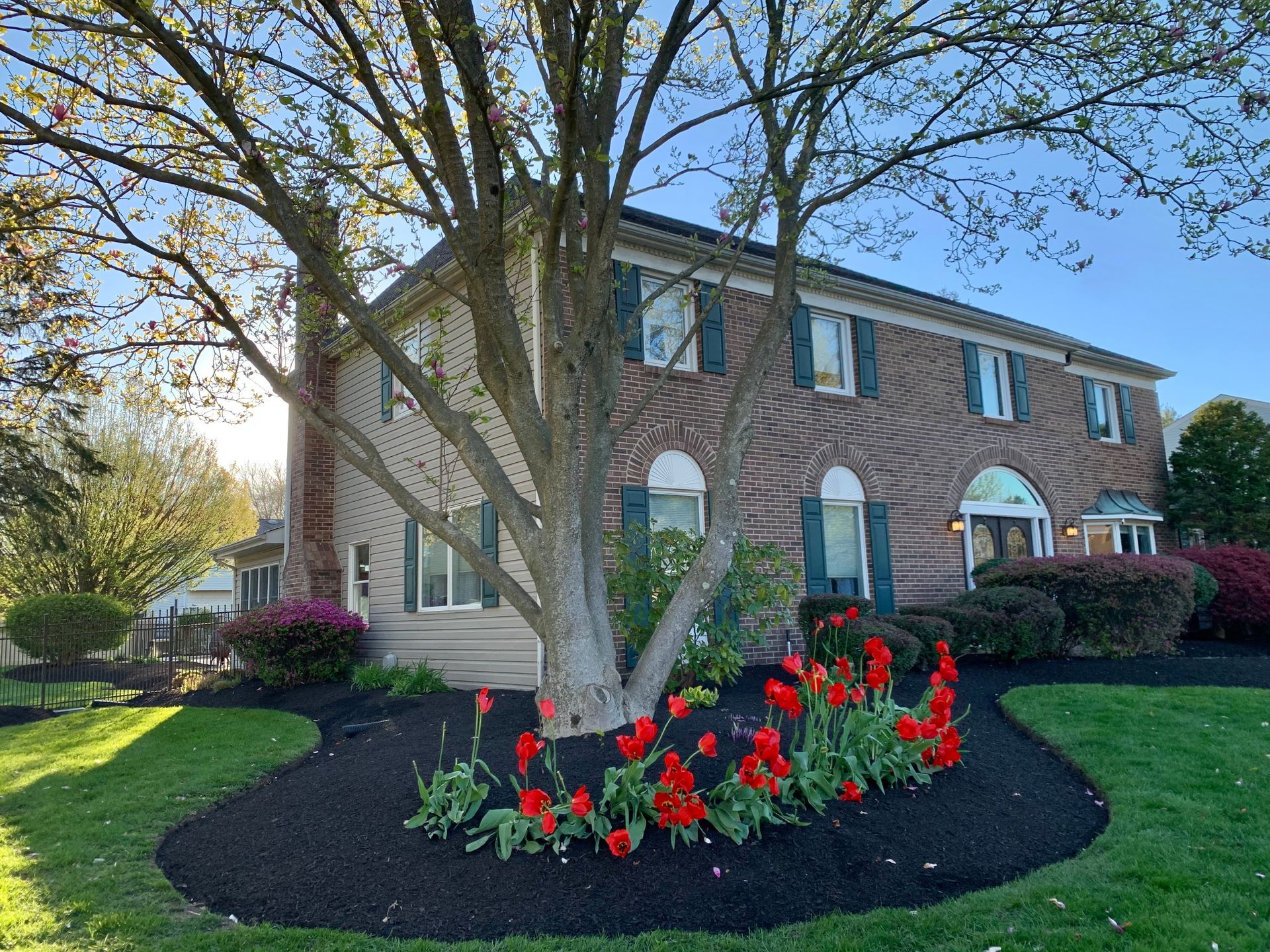 Two-story brick building with a tree in front, red tulips and green shutters.