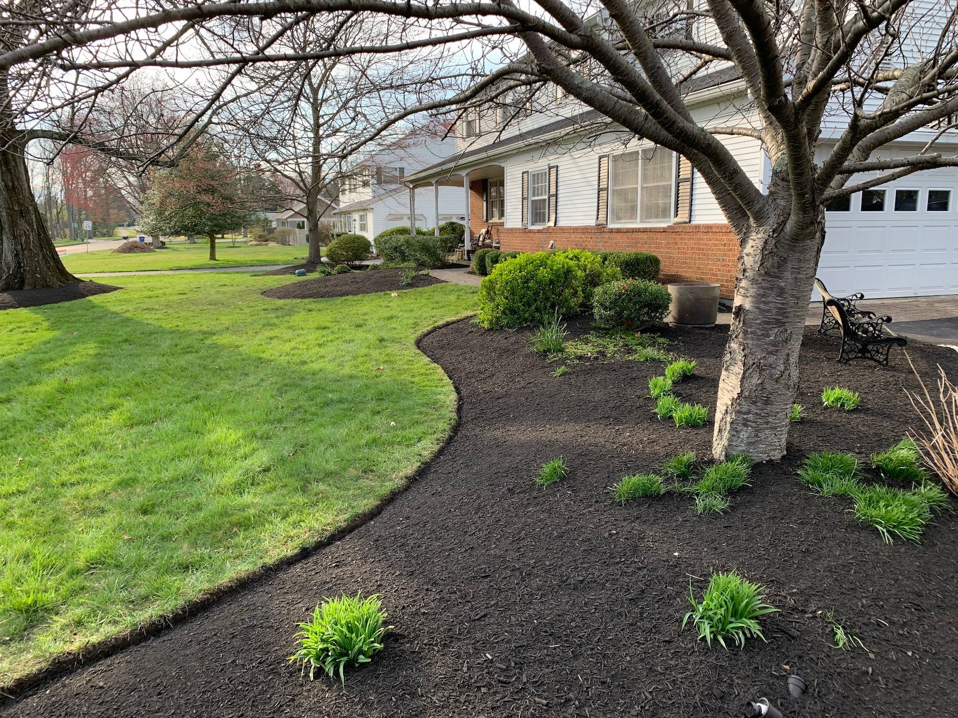 Lush green lawn curves past a home, bordered by dark mulch and a budding tree.