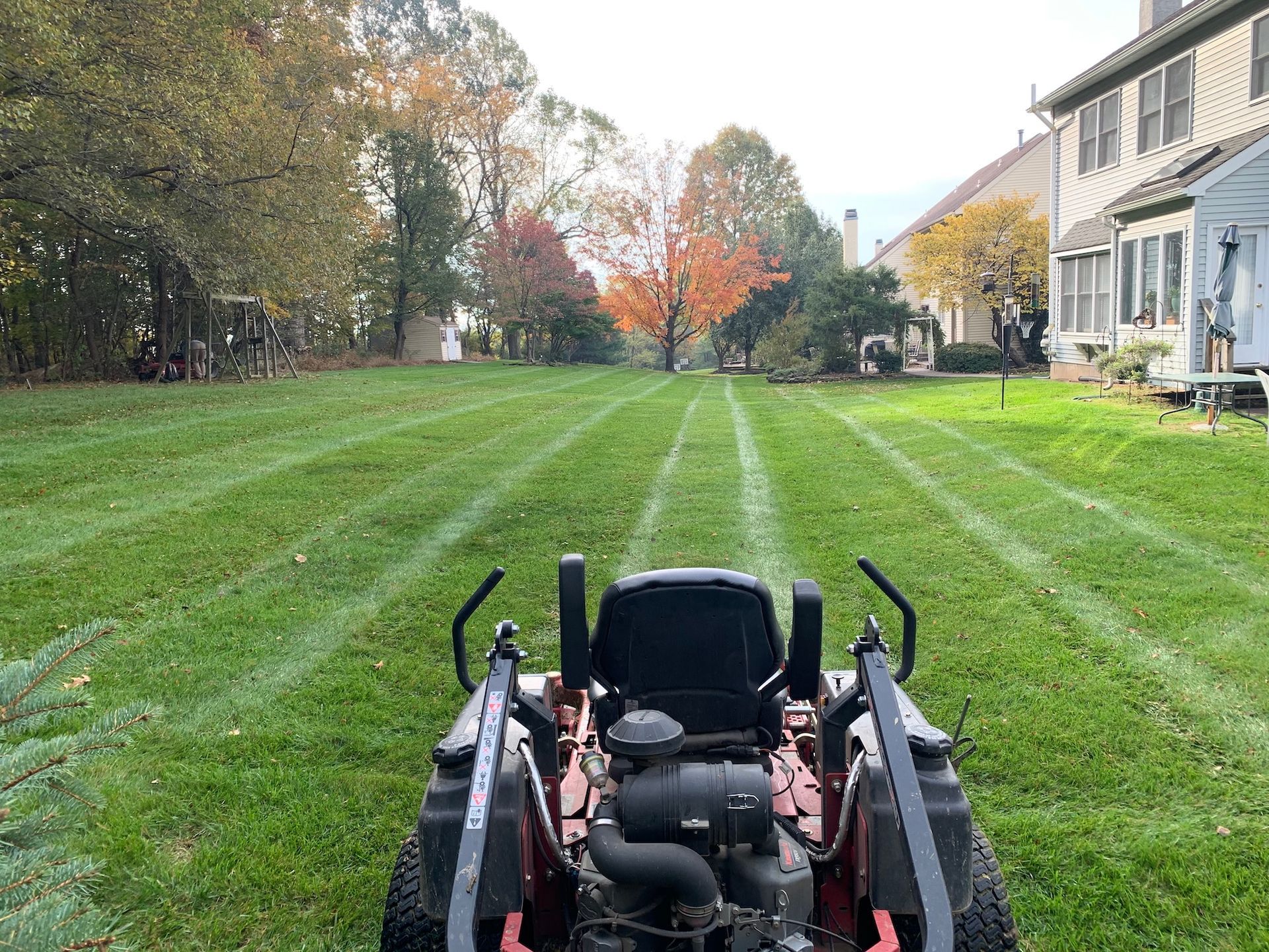 Lawn mower cutting grass in a backyard, creating stripes. Trees with fall colors in the background, houses on right.