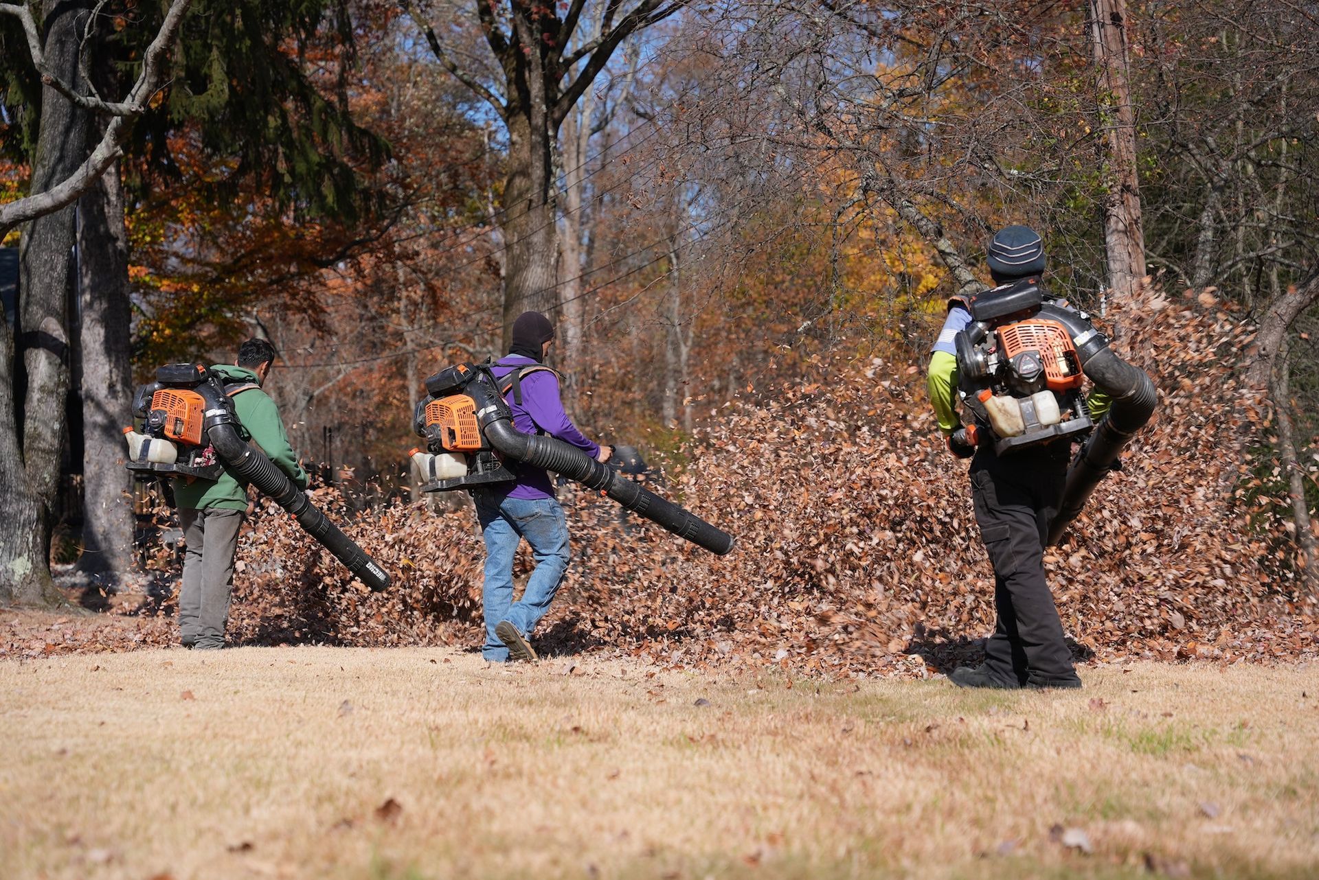 Three people with backpack leaf blowers moving leaves in a grassy area with trees.
