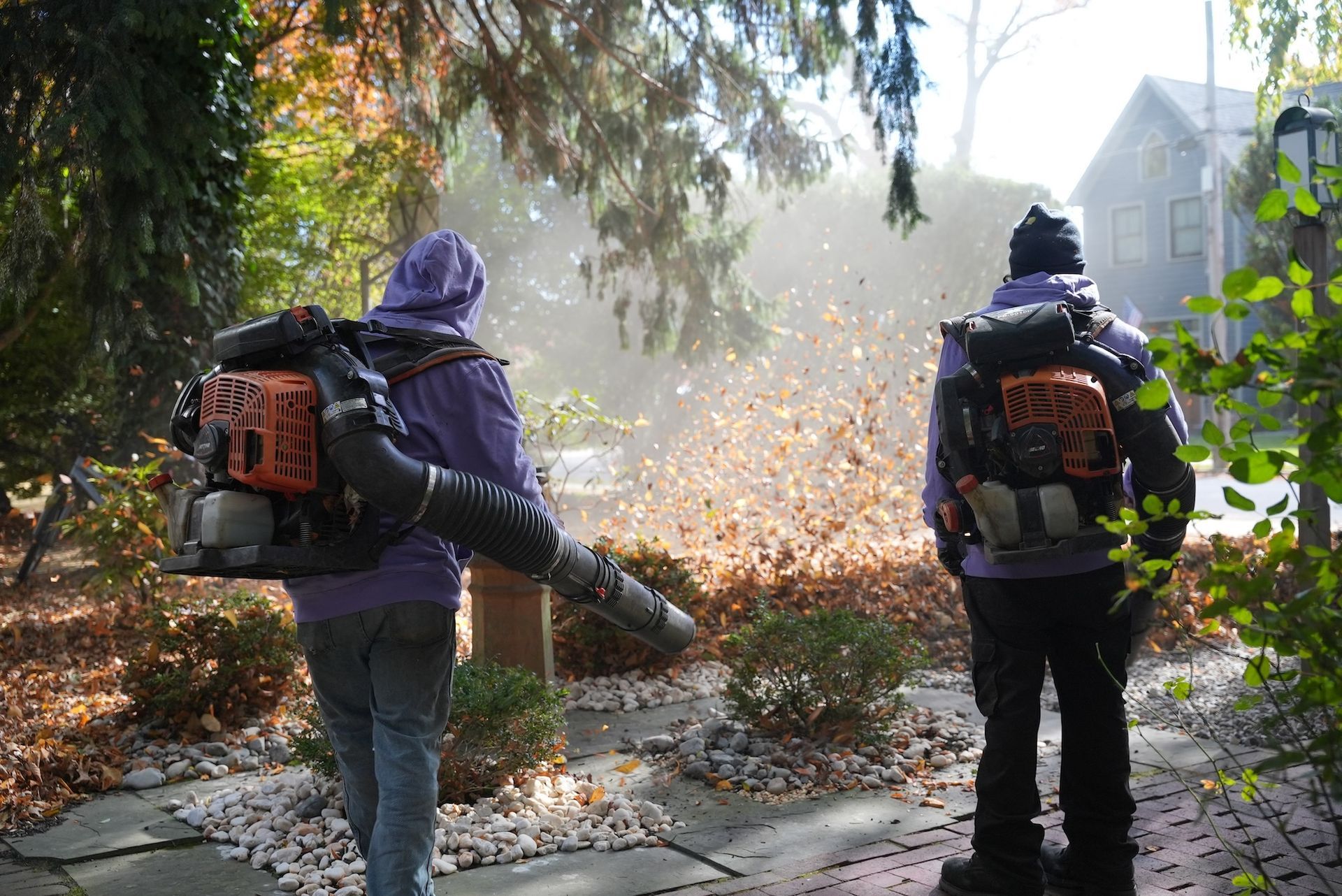 Two people in purple hoodies using leaf blowers, blowing autumn leaves on a sidewalk.