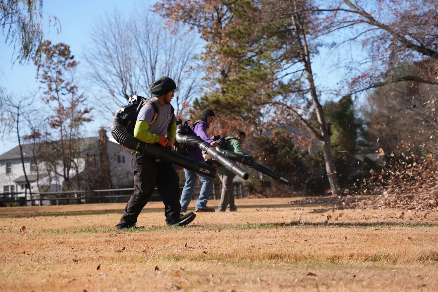 People blowing leaves with leaf blowers on a brown lawn in front of houses and trees.