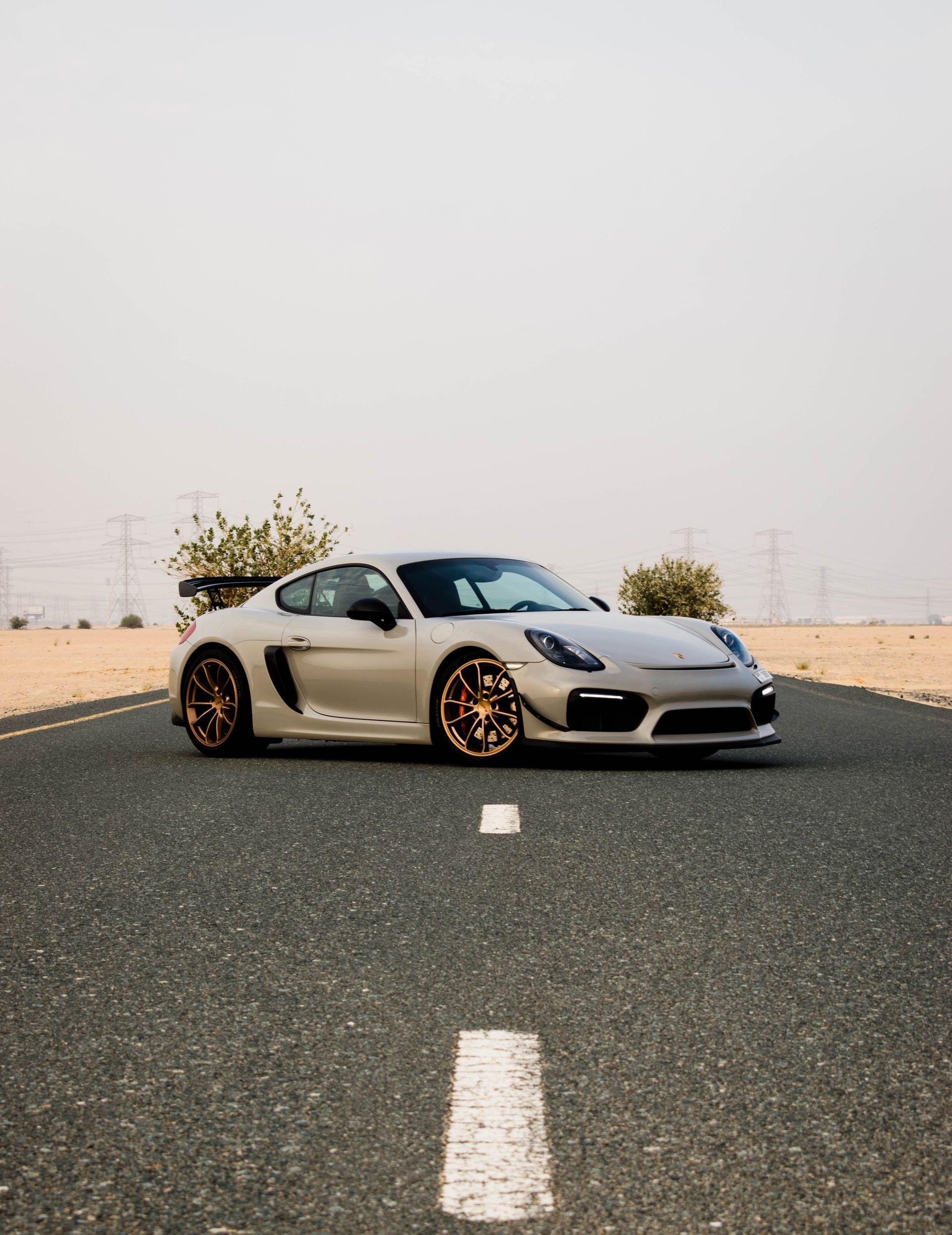 Porsche sports car on a desert road, light gray with bronze wheels, white stripe on the asphalt.