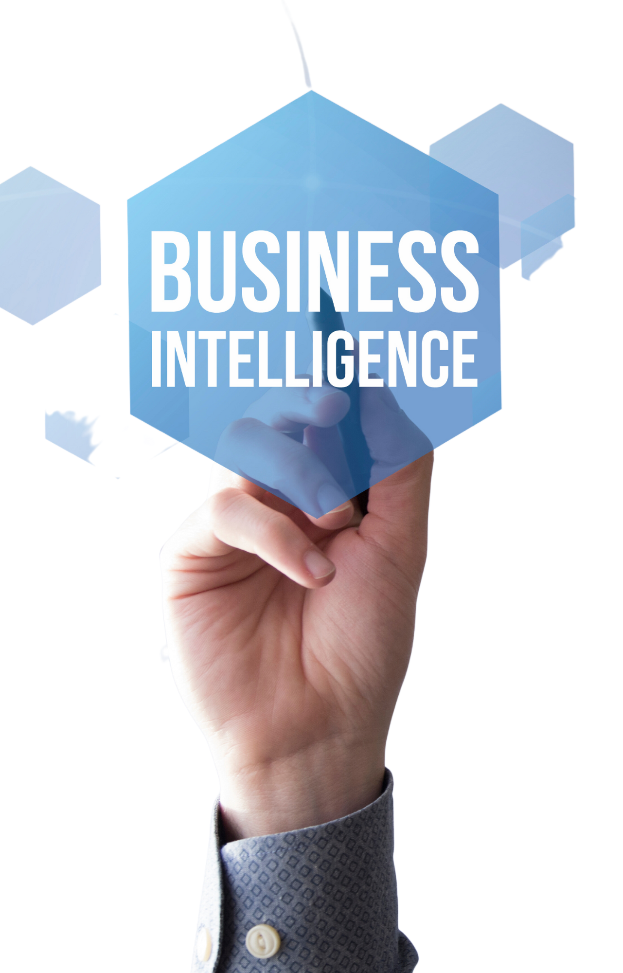 Business Intelligence | Land O Lakes, FL | Coding Innovations