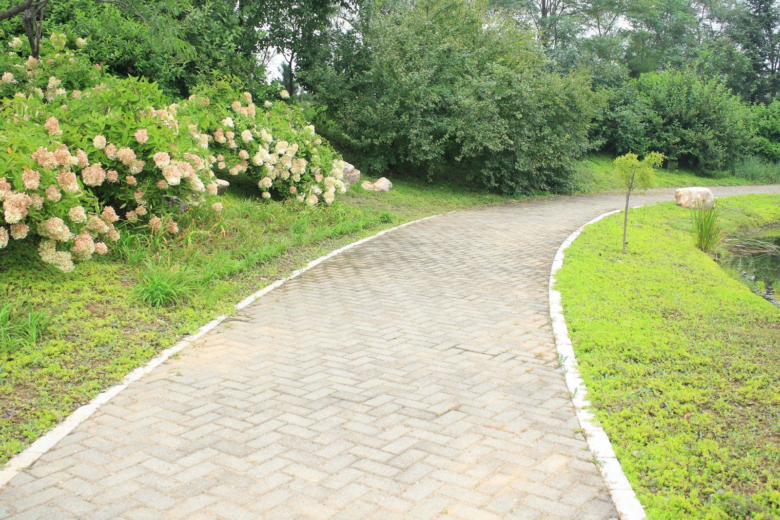 A winding paved path in a park with green bushes and flowers on either side.