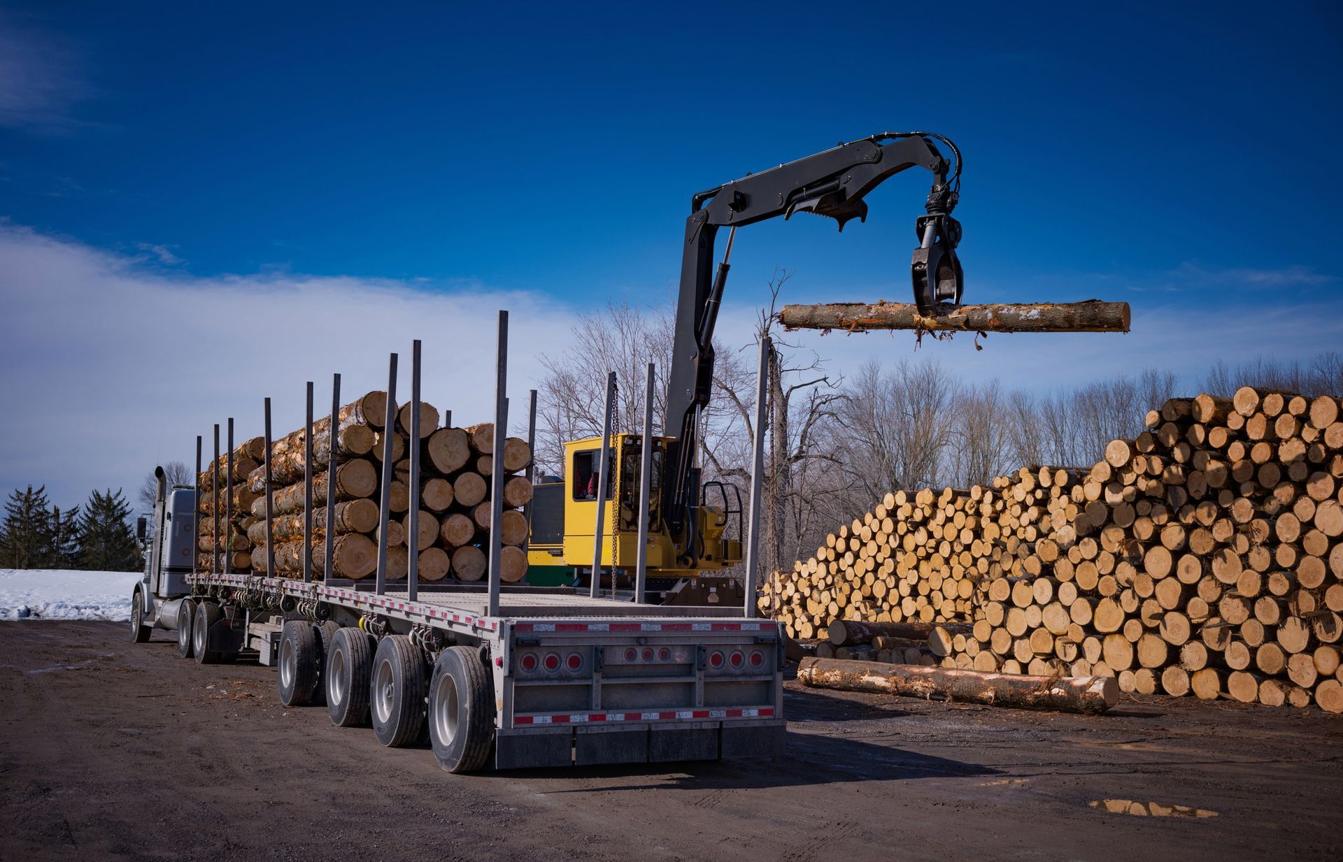 Logging Operation — Tonasket, WA — Will Logging & Construction LLC