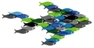 A bunch of fish are swimming in the shape of an arrow