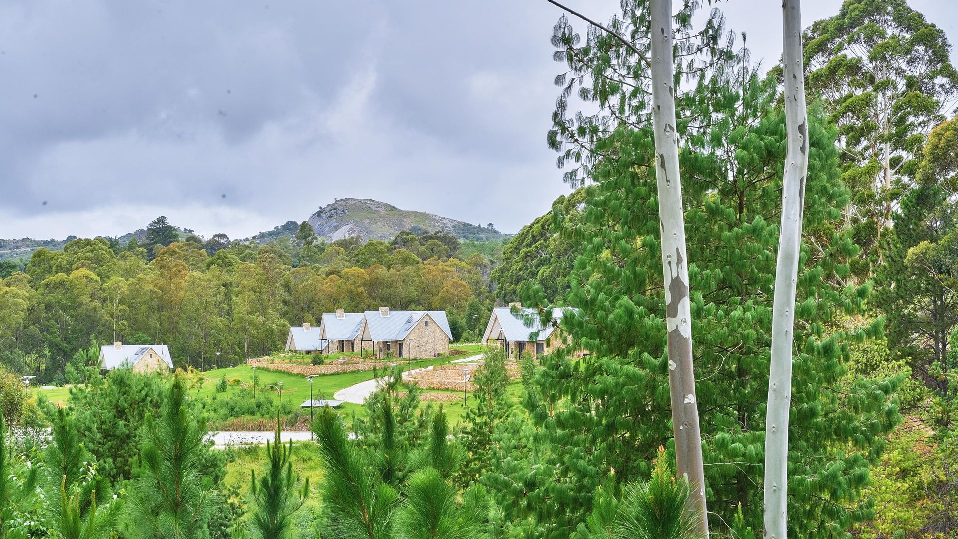 A house is surrounded by trees and a mountain in the background.