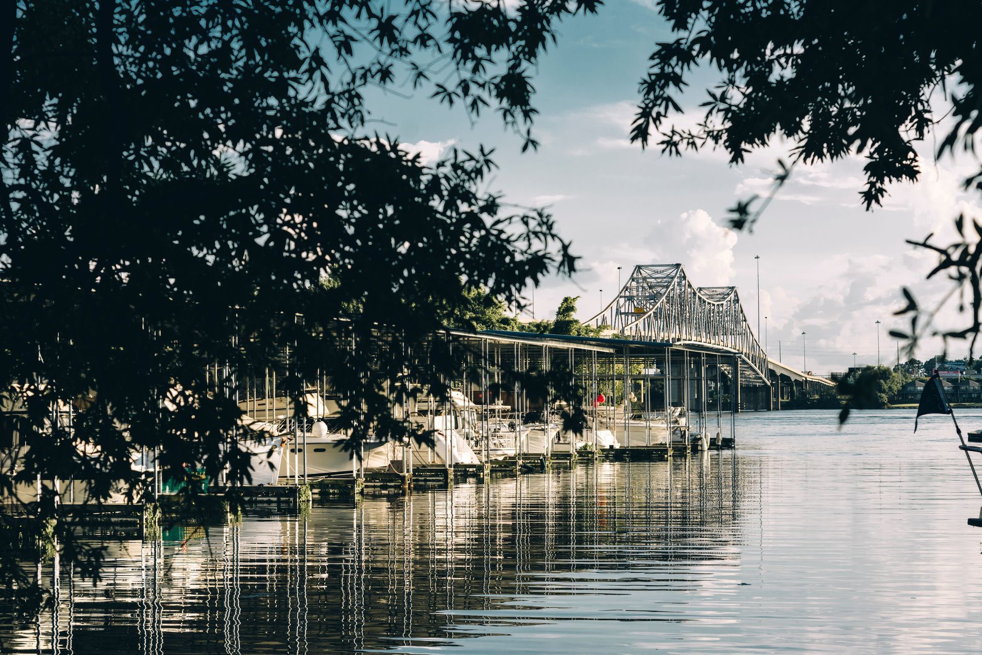 A bridge is visible over a body of water surrounded by trees.