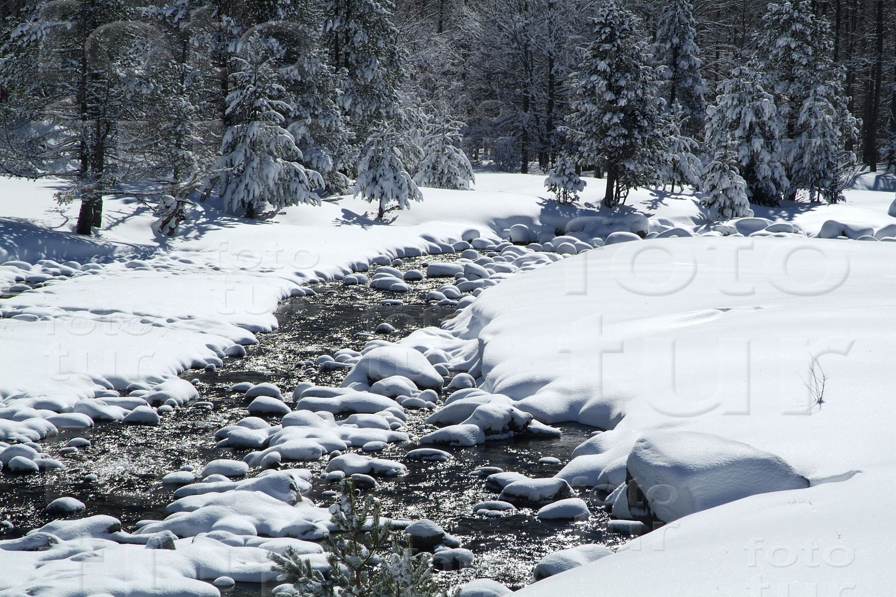 Aigües fredes entre la neu