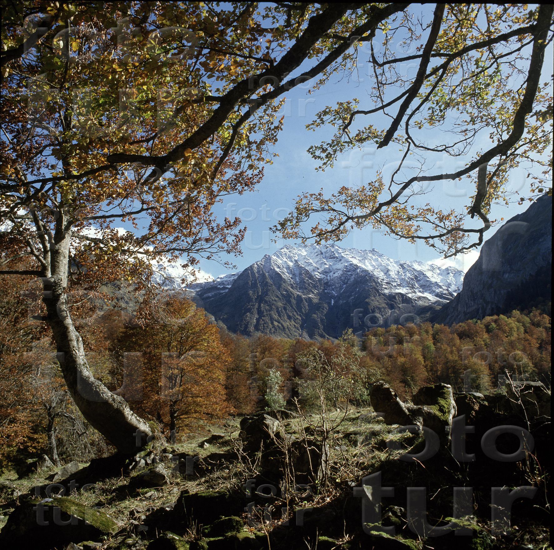 Artiga de Lin a la tardor