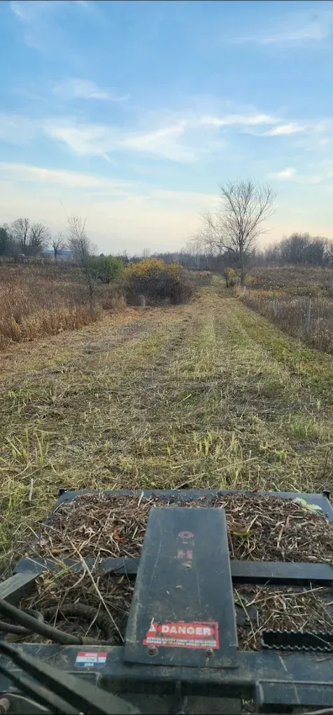 A machine clearing a grassy path through a field, leading to a tree under a blue sky.