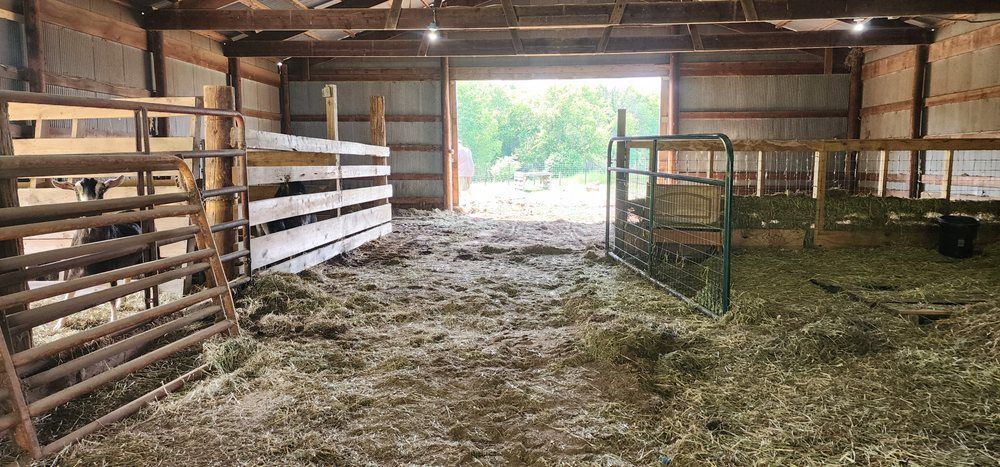 Interior of a barn with open door and wooden and metal fencing. Green trees are seen outside.