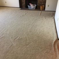 Beige carpet in a room, with a fireplace and basket in the background, near a white door frame.