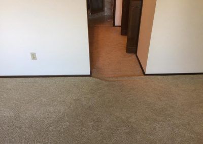 Room with tan carpet, doorway to hall, brown trim, light walls, electrical outlet on left.
