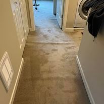 Hallway with beige carpet, stains, and doors. A washing machine is visible in the background.