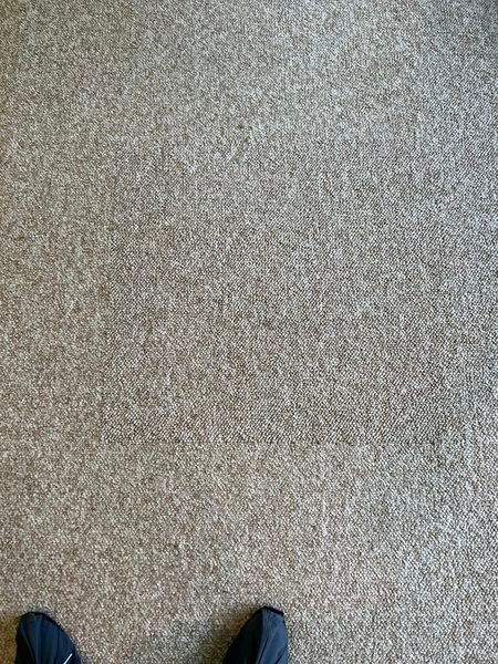 A close-up view of beige carpet with two black shoes at the bottom.
