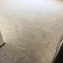 Beige carpet, close-up view.