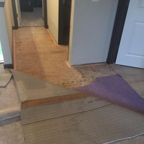 Hallway floor with carpet partially removed, revealing wood subfloor.