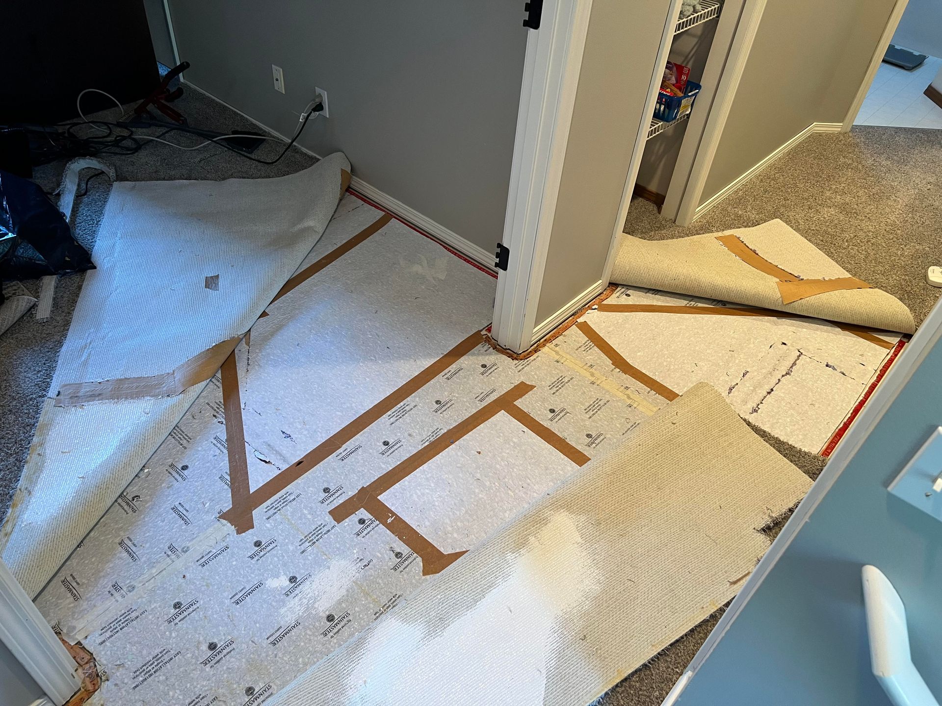 Picture shows carpet being worked on to remove pet odor