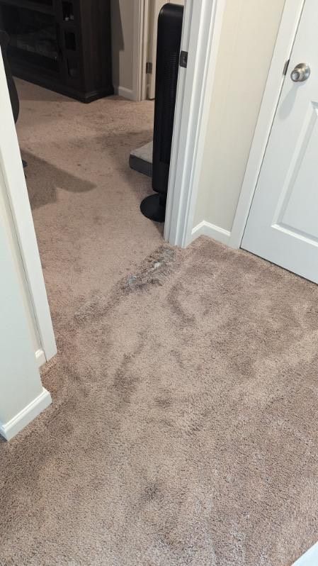 Carpeted hallway with stains and a standing fan. White trim and door frame.