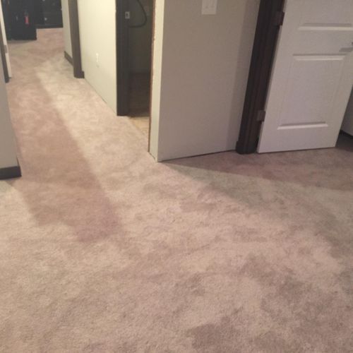 Beige carpeted hallway with open doors, gray walls, and dark trim.