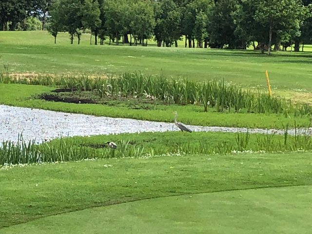 Ballymoney Golf Course - Image 12