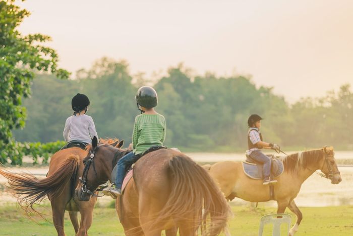 A group of children are riding horses in a field.