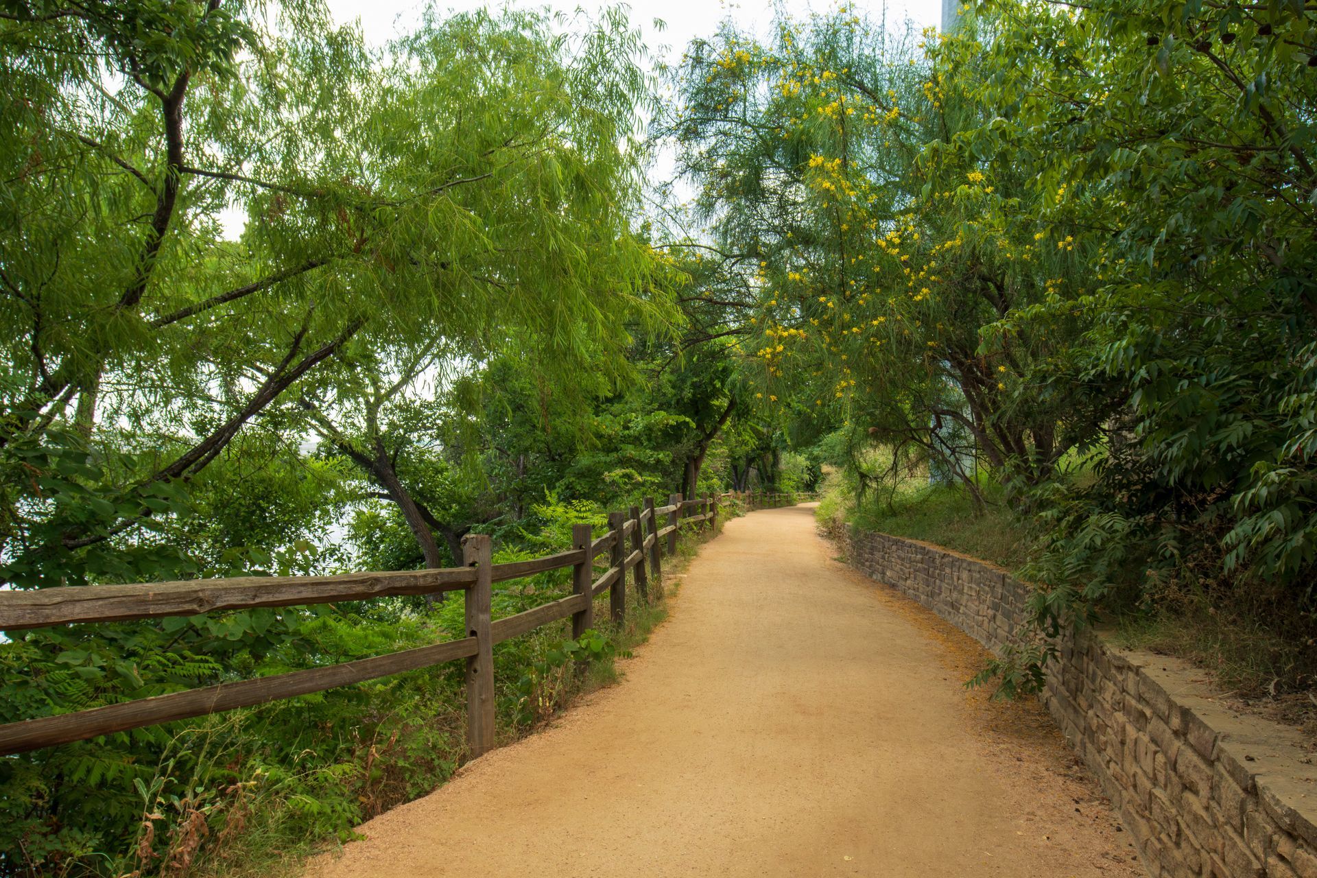 A dirt path surrounded by trees and a wooden fence.