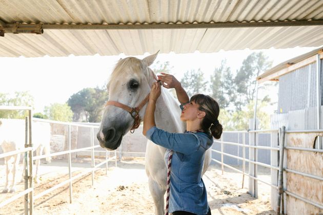 A woman is standing next to a white horse in a stable.