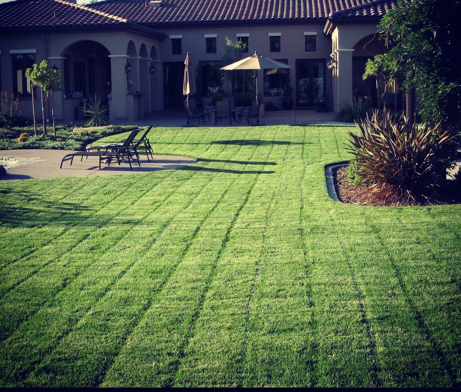 A lush green lawn in front of a large house