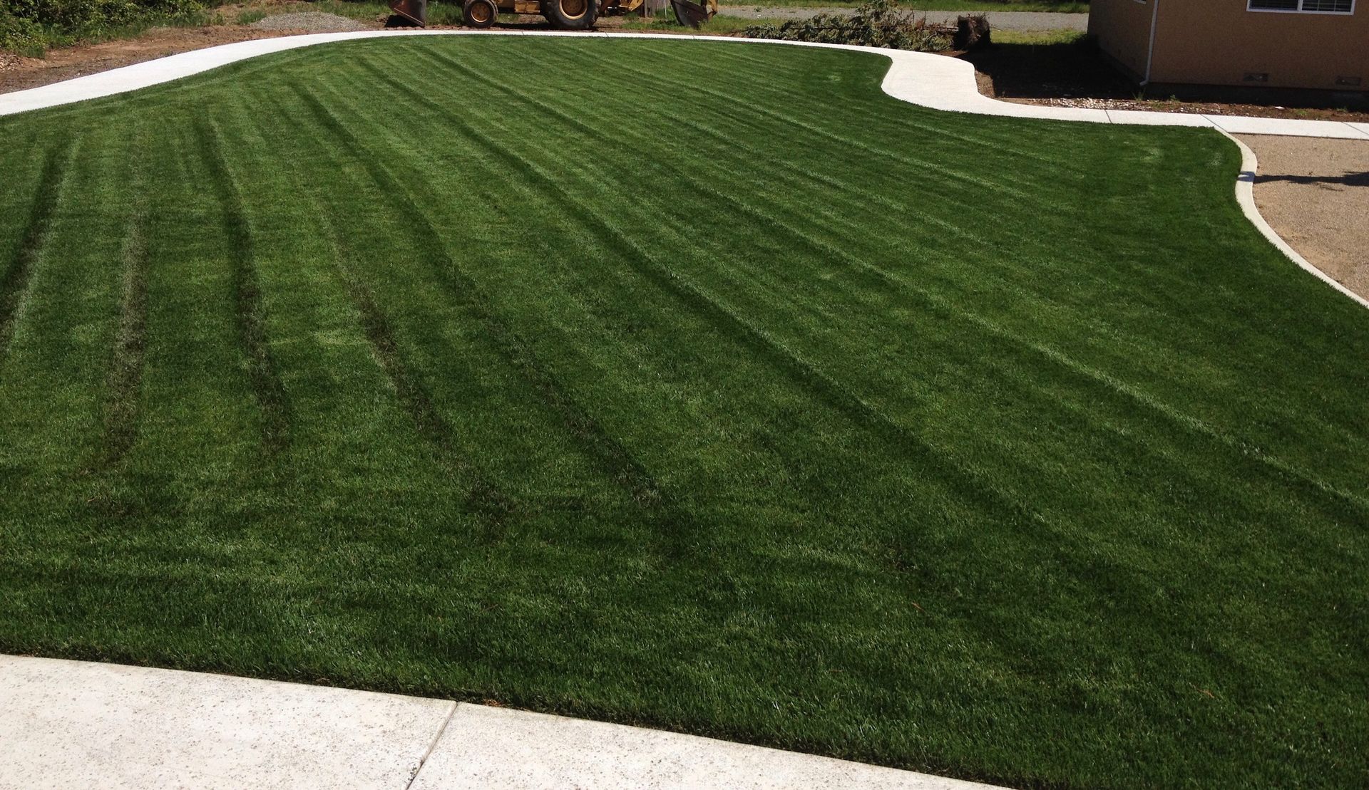 A lush green lawn with a concrete walkway leading to a house.