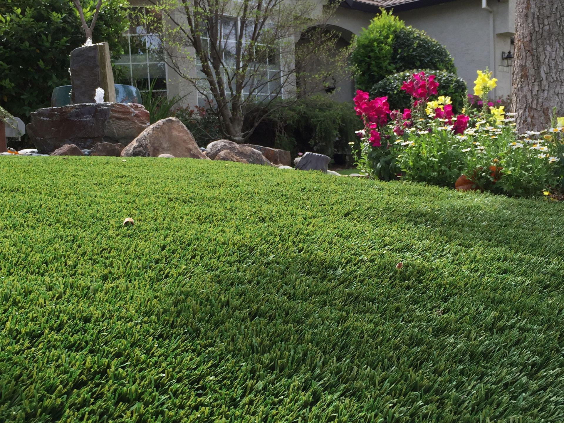 A lush green lawn with flowers and rocks in front of a house.