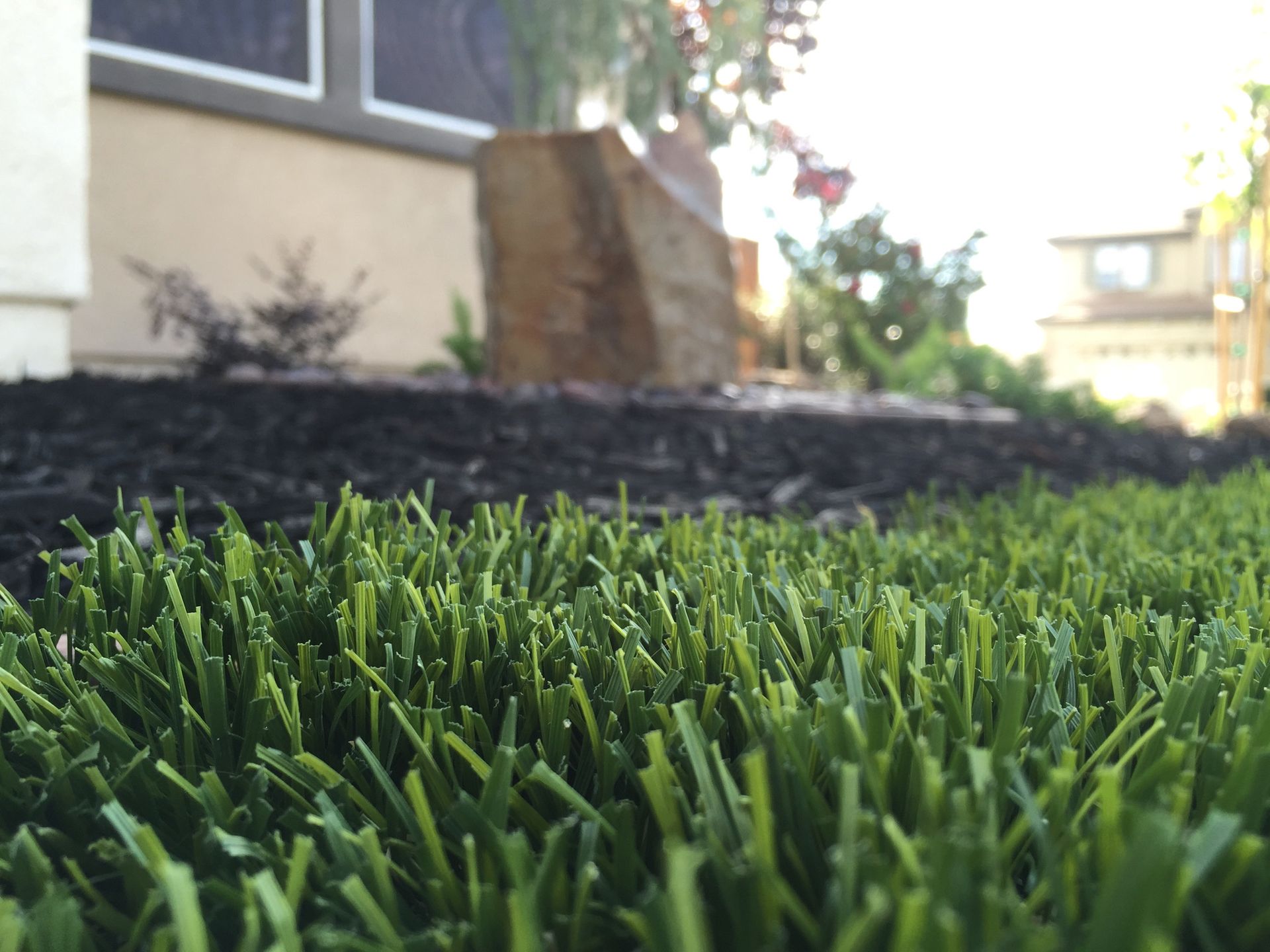 A close up of a lush green lawn in front of a house.