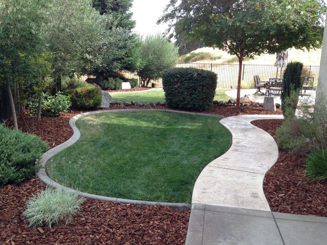 A walkway going through a lush green garden