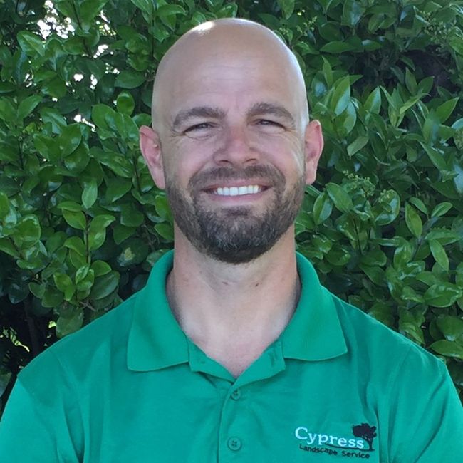 A bald man with a beard is wearing a green polo shirt and smiling.