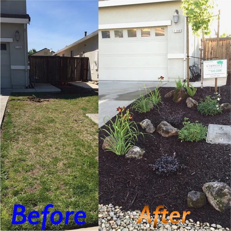 A before and after picture of a lawn