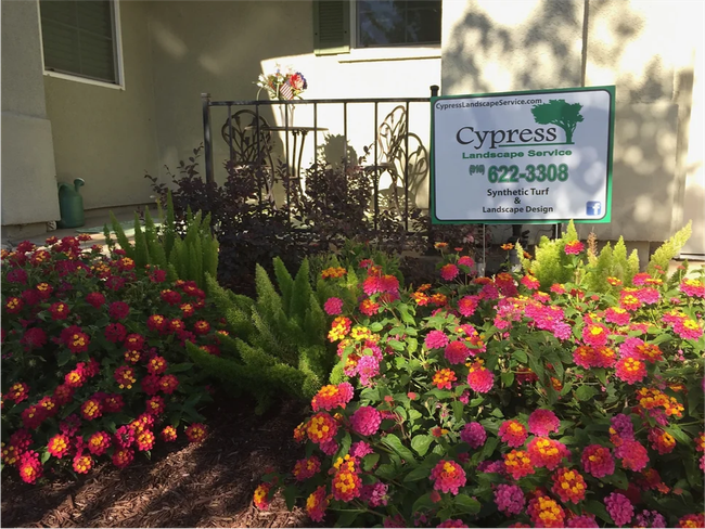 A garden with flowers and a sign that says cypress